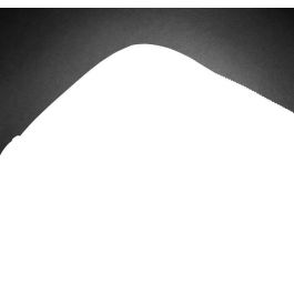 HP Professional 15.6-inch Laptop Bag