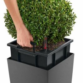 Lechuza LEC4008789182333 Jardinera Cubico Alto 40 TODO EN UNO Carbón