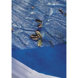 Gre Cubierta de Burbujas de Verano 180µ 5 x 3 m para Piscina