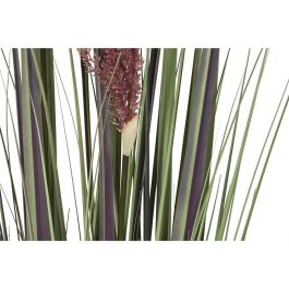 Planta DKD Home Decor Marron Claro Lila 35 x 120 x 35 cm (2 Unidades) Planta DKD Home Decor Marron Claro Lila 35 x 120 x 35 cm (2 Unidades)