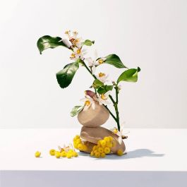 Roger & Gallet NÉROLI Gel de Ducha Bienestar para Mujer 200 ml