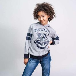 Sudadera con Capucha Niño Harry Potter Gris 12 Años