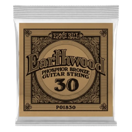 Ernieball Cuerda Acústica Slinky Phosphor/Bz 030 para Bajo Precio: 2.50000036. SKU: B17PP9NN3M