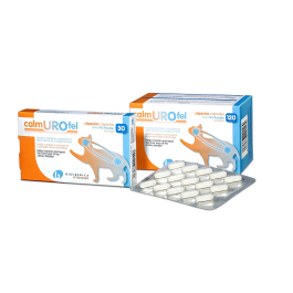 Bioiberica Calmurofel 120 Cápsulas - Suplemento para Gatos con Cistitis Idiopática Felina Precio: 42.9500005. SKU: B1EZHLG5LL