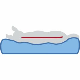 Colchón Trixie Vital Noah Gris claro 60 × 45 cm