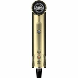 Shark FlexStyle SHA0622356358798 Secador de pelo y Moldeador 4 en 1, 1650W, con 4 accesorios, Edición Limitada Dorada