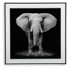 Cuadro Elefante en Cristal Versa - 2x50 cm (2 Unidades) Precio: 23.78999997. SKU: S3403596