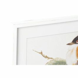 Cuadro DKD Home Decor 60 x 2,5 x 60 cm Pájaro Shabby Chic (4 Piezas) Cuadro DKD Home Decor 60 x 2,5 x 60 cm Pájaro Shabby Chic (4 Piezas)