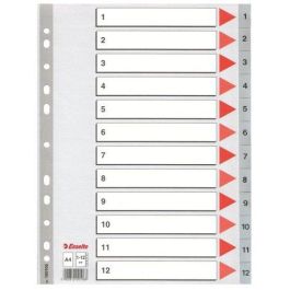 Esselte Índice Numérico Multitaladro Separador 1-12 Polipropileno A4 Gris Con Carátula Índice Cartón Color Precio: 3.99000041. SKU: B18LT7L47P