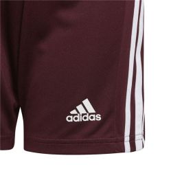 Pantalón Corto Deportivo Adidas Squad 21 Rojo Oscuro