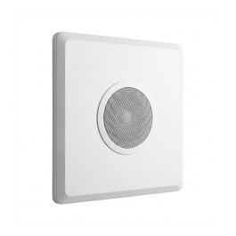 ALGO 81X8T2X2 Altavoz de Techo, Panel 2 x 2 Precio: 173.2599. SKU: B177CLDVZG