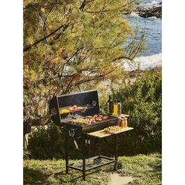 Barbacoa de carbón MIKE - Superficie de cocción 71 x 35 cm Barbacoa de carbón MIKE - Superficie de cocción 71 x 35 cm