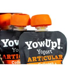 Yow Up Pouch Yogur Perros Articular Caja Display 10x115 gr