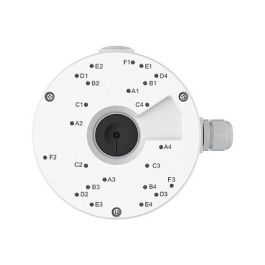 Reolink D20W Cámara de Seguridad Wi-Fi Exterior 2K con Visión Nocturna a Color