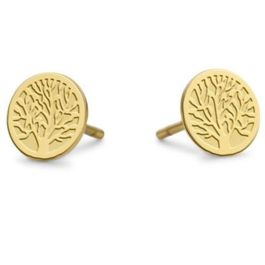 Pendientes Mujer CO88 Collection 8CE-70144 Dorado Precio: 43.49999973. SKU: B179RRXYXX