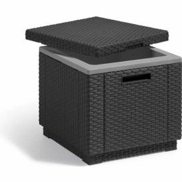 ALLIBERT Keter Mesa de Centro Arcón con Aislamiento Térmico Exterior de Resina Tejida Gris