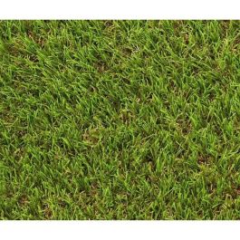 Hierba - EXELGREEN - 124414 - Natura 2D - 38mm / 1 x 5 m Hierba - EXELGREEN - 124414 - Natura 2D - 38mm / 1 x 5 m Precio: 94.50000054. SKU: B1E4ZSQZV3
