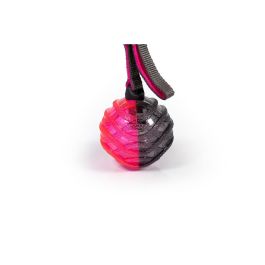 Gloria Pelota Honda Interactiva On-Off con Sonido para Perros Play And Run, Talla L, Gris y Rosa, 8.89 cm (Evita Destrucción) Gloria Pelota Honda Interactiva On-Off con Sonido para Perros Play And Run, Talla L, Gris y Rosa, 8.89 cm (Evita Destrucción)