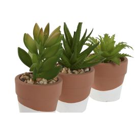 Planta DKD Home Decor Marron Verde 5.5 x 13 x 5.5 cm (6 Unidades)