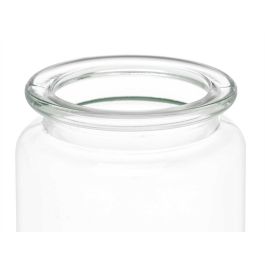 Tarro Redondo Liso Tapa Cristal 250Ml Vivalto 8X13CM (24 Unidades) Tarro Redondo Liso Tapa Cristal 250Ml Vivalto 8X13CM (24 Unidades)