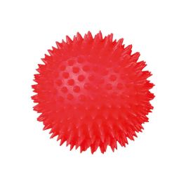 Juguete para perros Trixie Ø 10 cm Precio: 5.50000055. SKU: B1KM8926QT