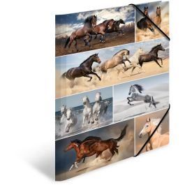 HERMA 19217 Carpeta de anillas A3, de Cartón, diseño de Caballos Multicolor, para organizar y guardar documentos, 1 pieza