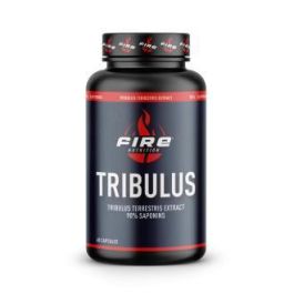 Tribulus Terrestris 90Saponins 60Cap. Precio: 13.7900004. SKU: B1JJZ5LKLZ