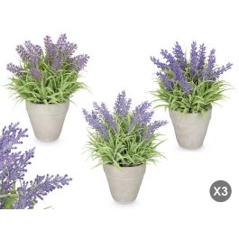 IBERGARDEN Macetero Lavanda Mediano Surtido Plástico Cemento 18x25x18cm (Set de 12) Precio: 35.50000003. SKU: B1C4CTK69J