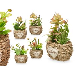 Maceta Ovalada Surtidos Ibergarden 14X22CM (12 Unidades) Precio: 62.50000053. SKU: B13HXJ23HH