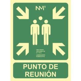 Archivo 2000 Pictograma 2000 Punto de Reunion PVC Verde Luminiscente 224x300 mm Precio: 9.5000004. SKU: S7907030