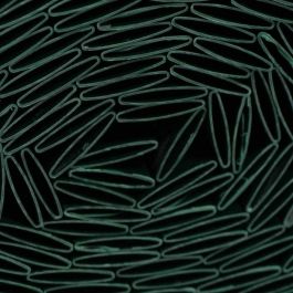 Nature NAT8711338532201 Pantalla de Caña de PVC Doble Cara 1 x 3 m 1600 g/m² Opaco Anti-UV Verde