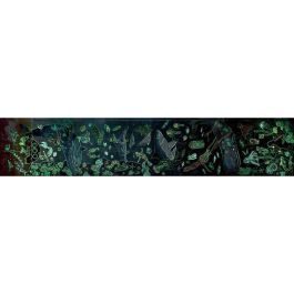 Puzzle vida marina 1.5 metros largo contiene 200 piezas que se iluminan en la oscuridad y 10 cartas con datos. 150x30x0,2cm Puzzle vida marina 1.5 metros largo contiene 200 piezas que se iluminan en la oscuridad y 10 cartas con datos. 150x30x0,2cm