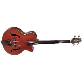 Takamine DB10 Fretless E/A F-Hole Cutaway Bajo Acústico Amplificado Precio: 2703.50000041. SKU: B1EKX665V8