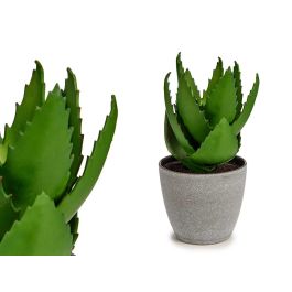 Maceta Grande para Aloe Vera Ibergarden 15x23.5x15 cm, Verde/Gris, Plástico (12 Unidades) Precio: 60.5. SKU: S3606043