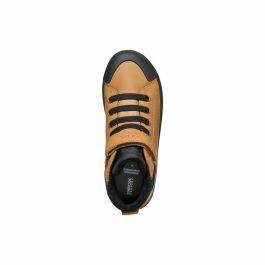 Zapatillas Casual Geox Gisli B. C Marrón