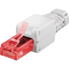 MicroConnect KON520TL Conector RJ45 CAT 6 sin herramientas para cables de red, fácil de usar Precio: 3.95000023. SKU: B1EGSVKJT2