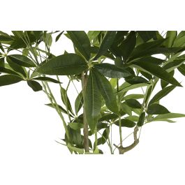 DKD Home Decor Árbol Verde 80 x 180 x 80 cm (2 Unidades)