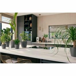 Elho 5661461877341 Juego 3 Maceteros Redondos The Coffee Collection Plástico Marrón Ø14/16/18cm Capacidad 7L