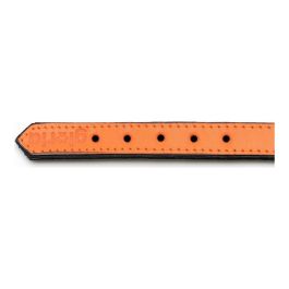 Gloria Collar Piel Acolchado Naranja 40 cm X 20 mm