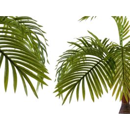 Palmera en Maceta Ibergarden - 90 cm de Alto, Maceta 15x15x14 cm Palmera en Maceta Ibergarden - 90 cm de Alto, Maceta 15x15x14 cm