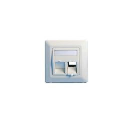 Lanview Wall plate, angled, Double outlet EURO white Precio: 4.49999968. SKU: B12L5FRJ25