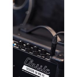 Amplificador Bajo Combo Session 30 Mk3 1 X 8" Tweeter - 30W (Bluetooh) Amplificador Bajo Combo Session 30 Mk3 1 X 8" Tweeter - 30W (Bluetooh)