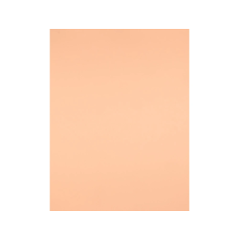 Liderpapel Cartulina Sepia 50x65 cm 240g/m2 para Dibujo y Manualidades