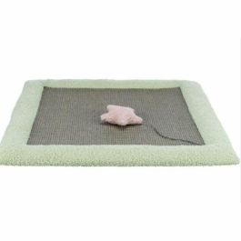Trixie Alfombra rascadora infantil 47 x 47 cm Gris/Menta TRI4047974444375 Precio: 24.78999963. SKU: B1DTMK2G35