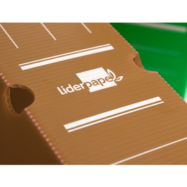 Liderpapel Caja Archivo Definitivo Plástico Marrón 360x100x260 mm