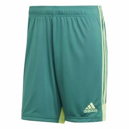 Pantalones Cortos Deportivos para Hombre Adidas TASTIGO19 SHO Verde Precio: 18.49999976. SKU: B17C5KWF45