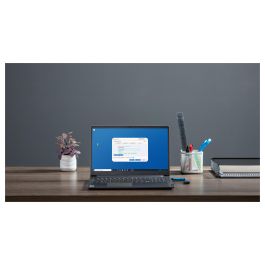 Kingston IronKey Vault Privacy 50 USB 3.2 Gen 1 256GB Cifrado AES-256 FIPS 197