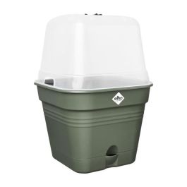 ELHO Green Basics Maceta de cultivo cuadrada - Ø 35 - Plástico - 14 l - Verde ELHO Green Basics Maceta de cultivo cuadrada - Ø 35 - Plástico - 14 l - Verde