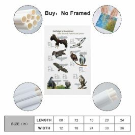 Samsung Galaxy A36 5G Dual Sim 6GB RAM 128GB Almacenamiento Lavanda