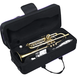 SML Trompeta Sib Tp500 Latón Lacado Tonalidad Sib